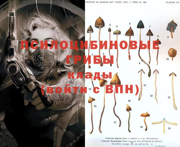ГАЛЛЮЦИНОГЕННЫЕ ГРИБЫ Богородицк