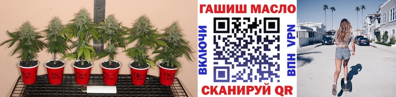 ТГК гашишное масло  магазин продажи наркотиков  Вяземский 